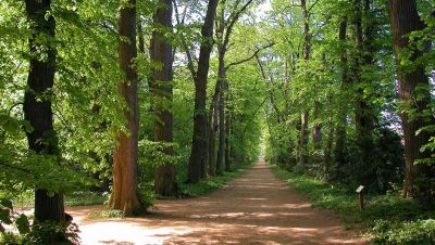 Zirci Arbor&eacute;tum